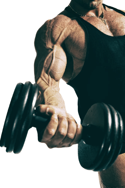 bedste biceps øvelser med håndvægte